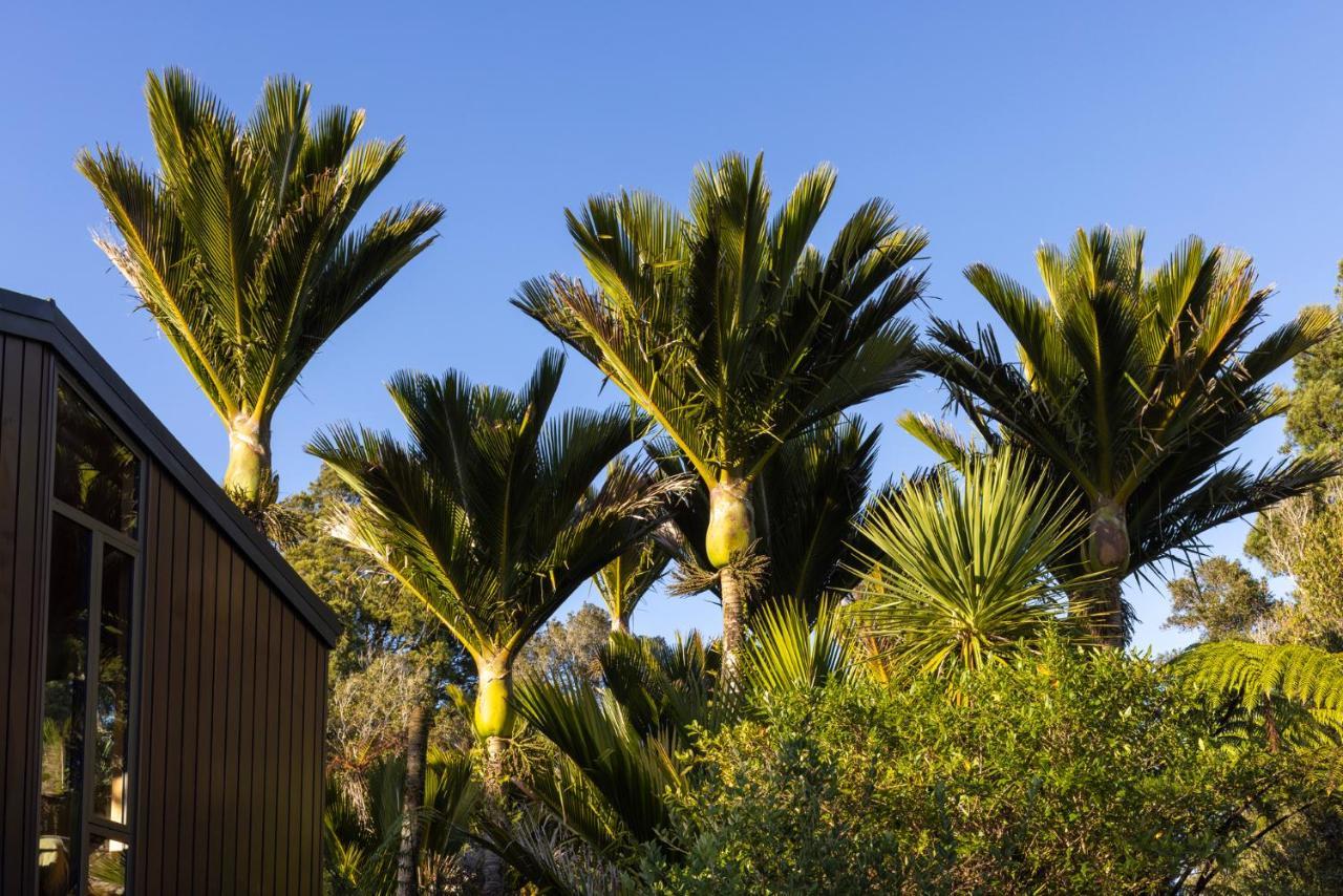 Punakaiki Forest Retreat Ngoại thất bức ảnh