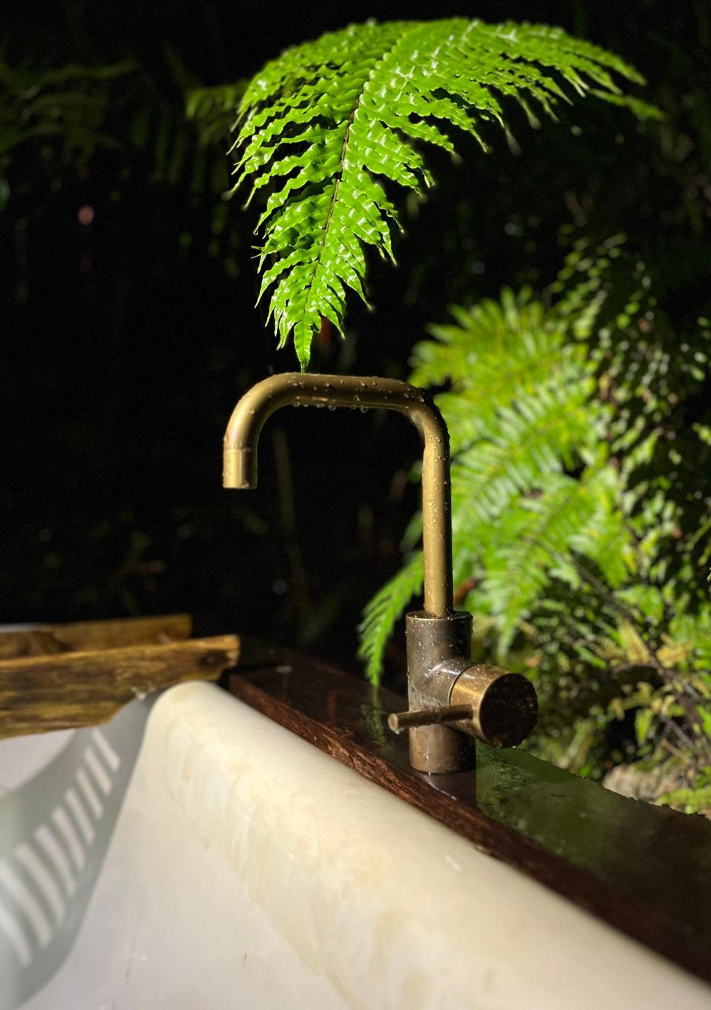 Punakaiki Forest Retreat Ngoại thất bức ảnh