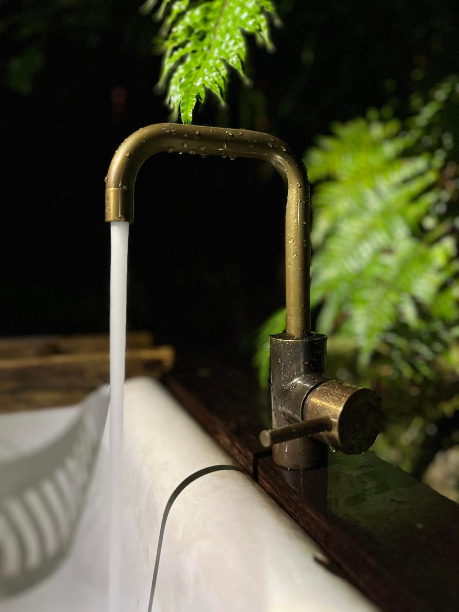 Punakaiki Forest Retreat Ngoại thất bức ảnh